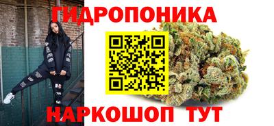 тгк Боровичи
