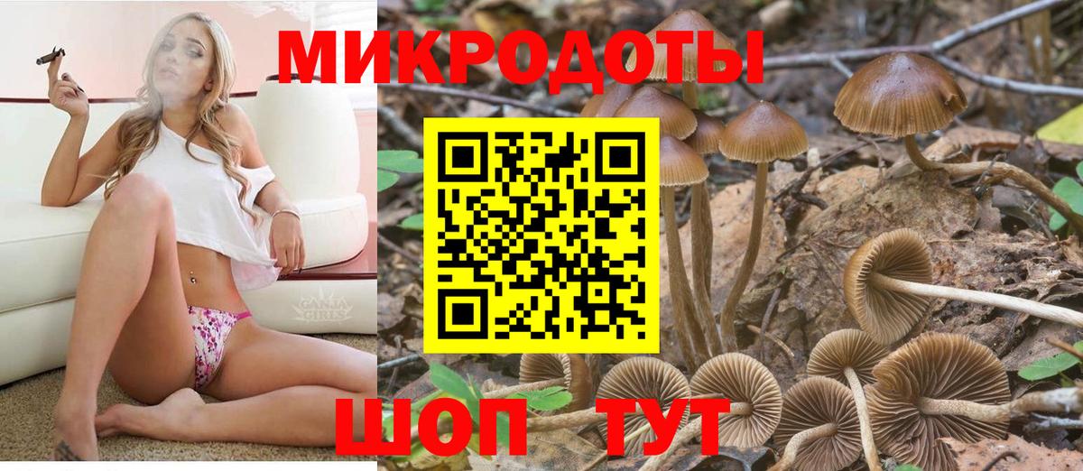 Псилоцибиновые грибы ЛСД  Вход с VPN  Выкса 