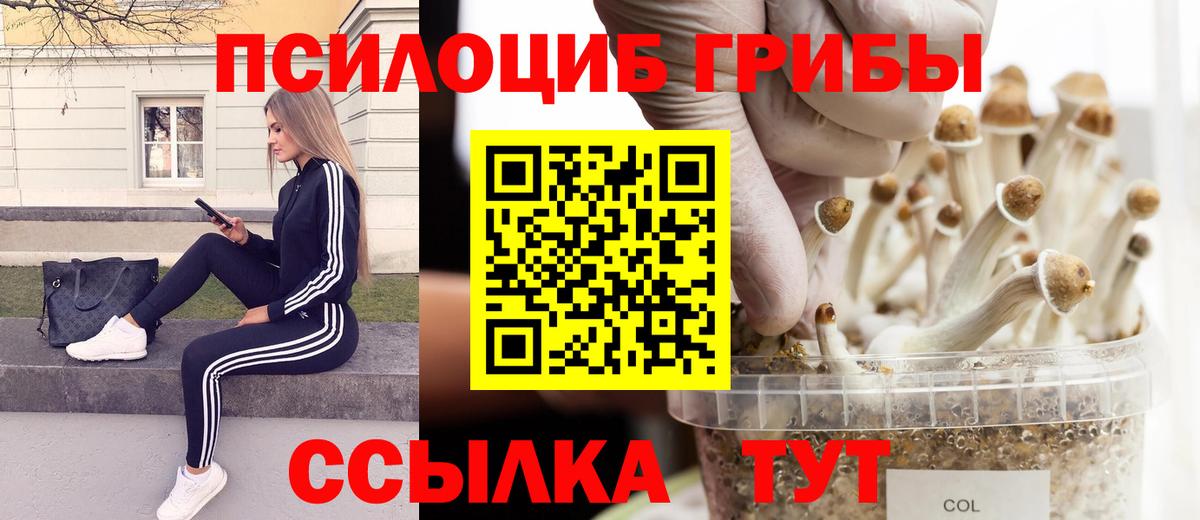 Галлюциногенные грибы MAGIC MUSHROOMS Выкса